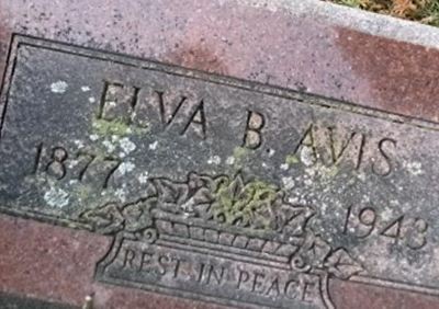 Elva B Avis on Sysoon