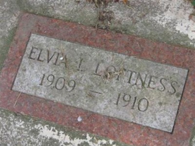 Elvia I. Loftness on Sysoon