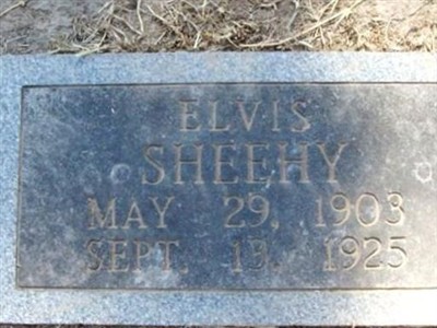 Elvis Sheehy on Sysoon