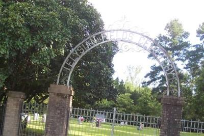 Elysian Fields Cemetery on Sysoon