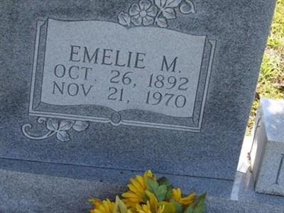 Emelie M. Netto on Sysoon