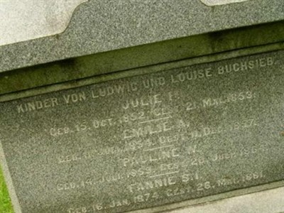 Emilie Augusta Buchsieb on Sysoon