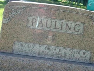 Emily B. Pauling on Sysoon