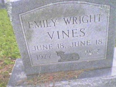 Emily Wright Vines on Sysoon