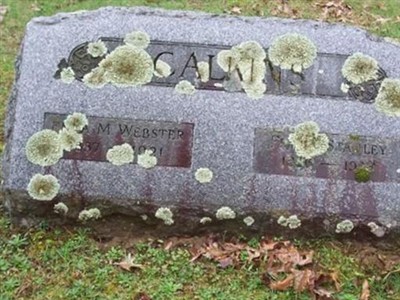 Enna M. Webster Calkins on Sysoon