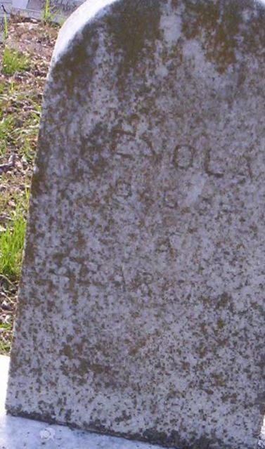Enola Sparkman on Sysoon