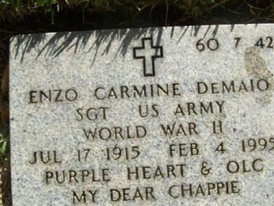 Enzo Carmine Demaio on Sysoon