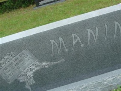 Ernest Manin on Sysoon