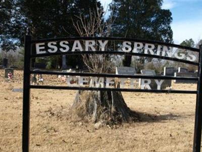 Essary Springs Cemetery on Sysoon