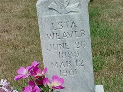 Esta Weaver on Sysoon