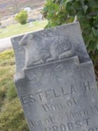 Estella Probst Probst on Sysoon