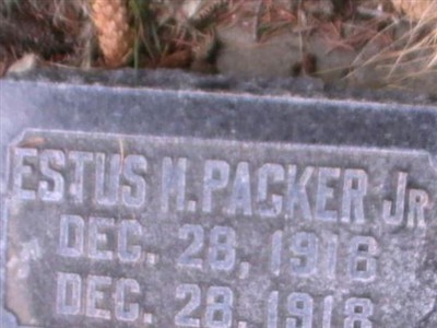 Estus M Packer, Jr on Sysoon