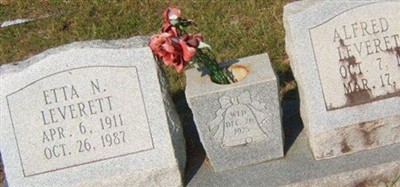 Etta N. Leverett on Sysoon