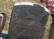 Euel Dion Semore on Sysoon