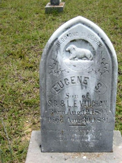 Eugene S. Vaughan on Sysoon