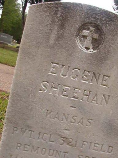 Eugene Sheehan on Sysoon