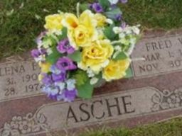 Evalena Houser Asche on Sysoon