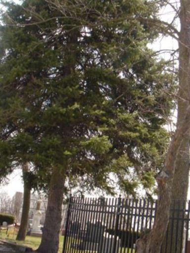 Saint John Evangelical Lutheran Church Cemetery on Sysoon