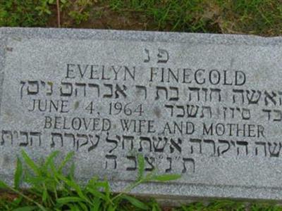 Evelyn Libby Witebsky Finegold on Sysoon
