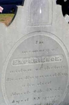 Experience Shaw Hayward on Sysoon