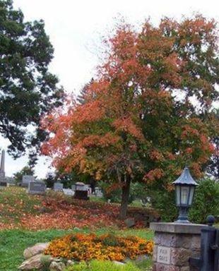 Fair Oaks Cemetery on Sysoon