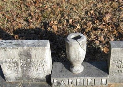 Fannie M. Savage Barfield on Sysoon