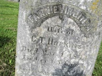 Fannie Virginia Hopkins on Sysoon
