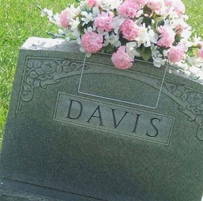 Fannie Wilmoth Davis on Sysoon