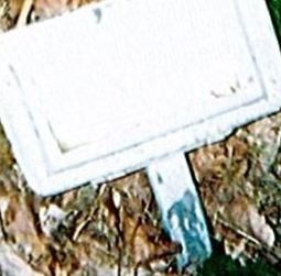 Fanny Frances Fields, Find a grave on Sysoon Fanny Frances Fields on Sysoon