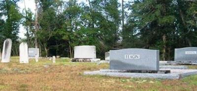 Feagin Cemetery on Sysoon