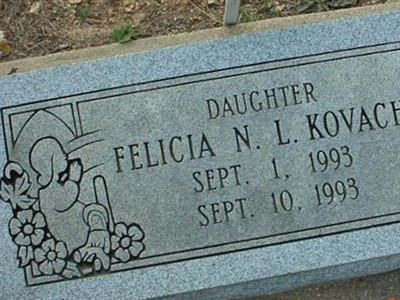 Felicia N L Kovach on Sysoon