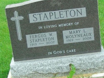 Fergus W. Stapleton on Sysoon