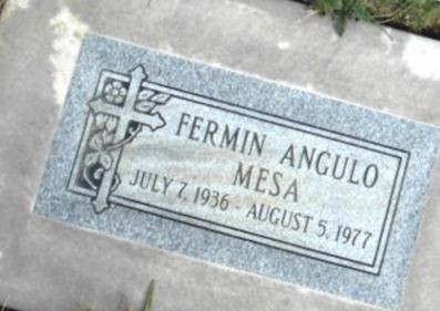 Fermin Angulo Mesa on Sysoon