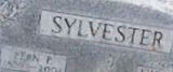 Fern P Sylvester on Sysoon