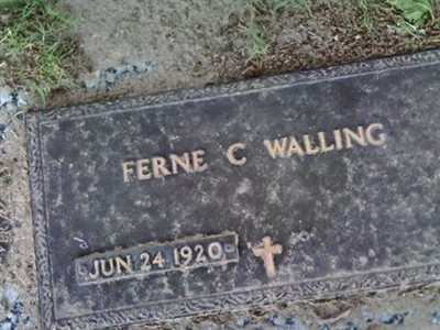 Ferne C Walling on Sysoon