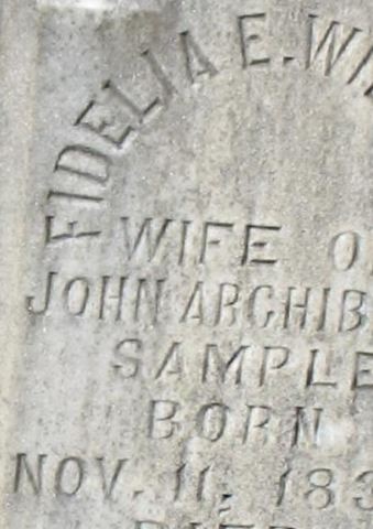 Fidelia E. Williams Sample on Sysoon