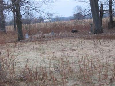 First English Lutheran Cemetery on Sysoon