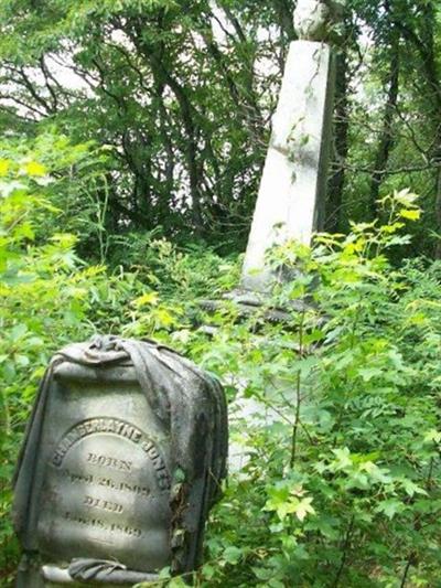 First Settlers Cemetery on Sysoon