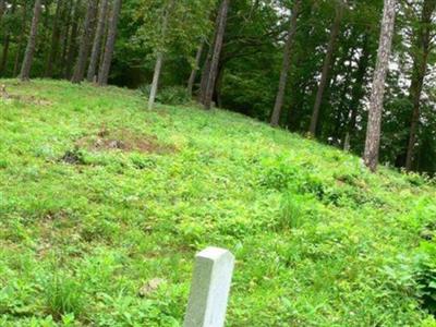 Fitzpatrick Cemetery on Sysoon