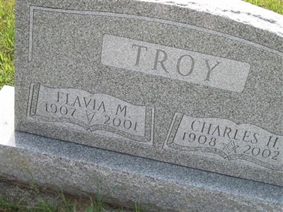 Flavia M Troy on Sysoon