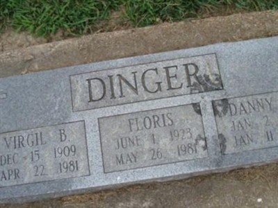 Floris Dinger on Sysoon
