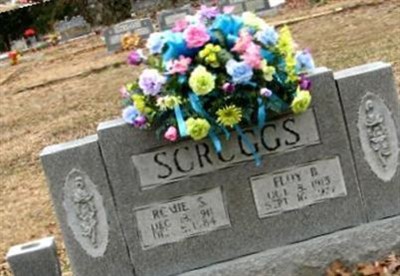 Floy Edna Beasley Scruggs on Sysoon