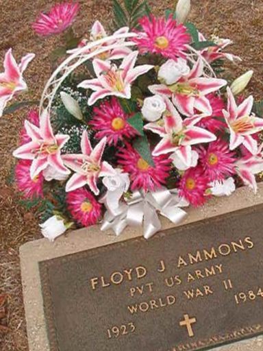 Floyd J Ammons on Sysoon