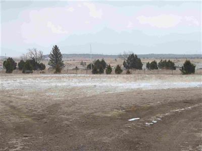 Folsom Cemetery on Sysoon