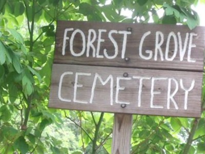 Forest Grove (Sharon twp) on Sysoon