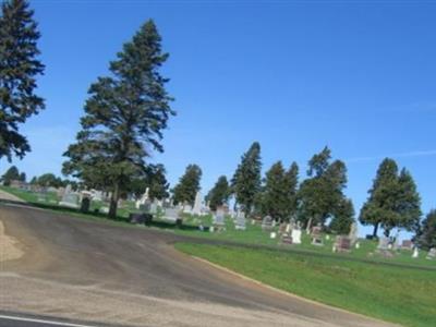 Forest Hill Cemetery on Sysoon