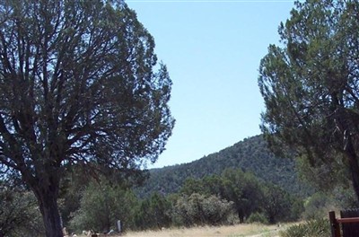 Fort Apache Cemetery on Sysoon