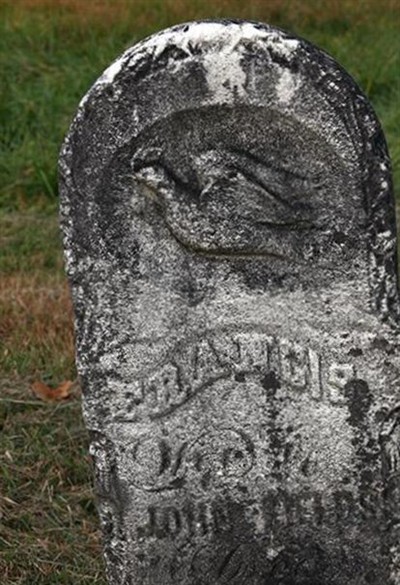 Francis A. Lancaster Fields on Sysoon