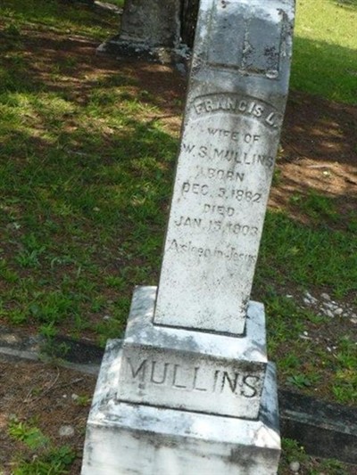 Francis L "Fannie" Mullins on Sysoon