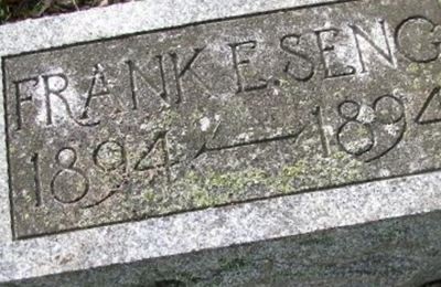 Frank E Seng on Sysoon